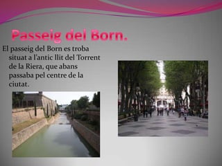 PLAÇA DE L’OLIVAR.