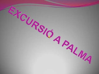 EXCURSIÓ A PALMA