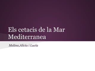 Els cetacis de la Mar
Mediterranea
Melina,Alicia i Lucía
 