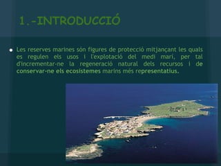 1.-INTRODUCCIÓ Les reserves marines són figures de protecció mitjançant les quals es regulen els usos i l'explotació del medi marí, per tal d'incrementar-ne la regeneració natural dels recursos i d e conservar-ne els ecosistemes  marins més re presentatius. 