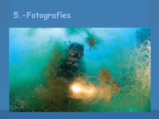 5.-Fotografíes 