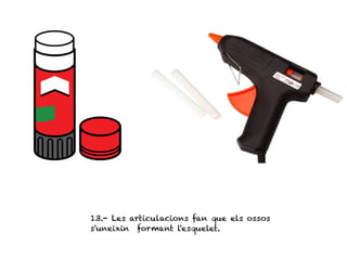13.- Les articulacions fan que els ossos
s'uneixin formant l'esquelet.
 