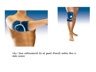 14.- Una articulació és el punt d'unió entre dos o
més ossos
 