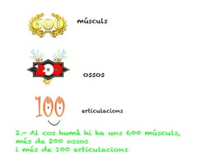 músculs




               ossos




               articulacions



2.- Al cos humà hi ha uns 600 músculs,
més de 200 ossos
i més de 100 articulacions.
 