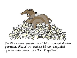 5.- Els ossos pesen uns 120 grams,així una
persona d'uns 60 quilos té un esquelet
que només pesa uns 7 o 8 quilos.
 