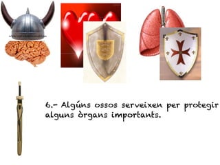 6.- Algúns ossos serveixen per protegir
alguns òrgans importants.
 