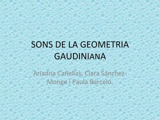 SONS DE LA GEOMETRIA
GAUDINIANA
Ariadna Cañellas, Clara Sánchez-
Monge i Paula Barceló.
 