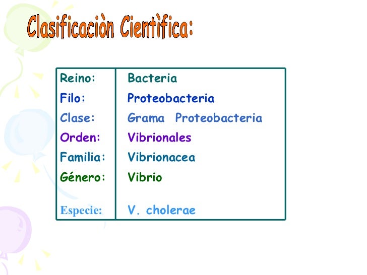 Resultado de imagen para taxonomia de vibrio