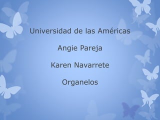 Universidad de las Américas
Angie Pareja
Karen Navarrete
Organelos
 