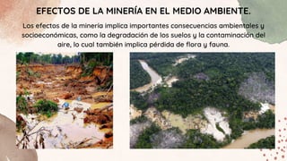 EFECTOS DE LA MINERÍA EN EL MEDIO AMBIENTE.
Los efectos de la minería implica importantes consecuencias ambientales y
socioeconómicas, como la degradación de los suelos y la contaminación del
aire, lo cual también implica pérdida de flora y fauna.
 