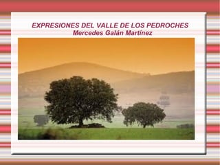 EXPRESIONES DEL VALLE DE LOS PEDROCHES
Mercedes Galán Martínez
Título
 