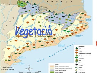 Si observem Catalunya
des del cel, veurem
que per sobre de tot
destaquen les
muntanyes i la verdor
dels seus espais
forestals, que junts
ocupen un 61 %del
territori.
 