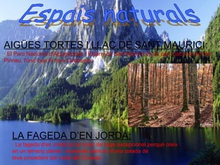 Catalunya es troba a l’est d’Espanya
Catalunya limita amb:
Nord (Andorra i França)
Sud (València)
Oest (Aragó)
Est (Mar Mediterrani)
El clima atlàntic és un
tipus de clima que
pertany a la zona
temperada
Que es caracteritza per
hiverns suaus i plujosos i
estius frescos i
relativament humits. Es
dóna a la façana
occidental dels
continents, i se situa
entre zones de clima
mediterrani.
AIGÜES TORTES I LLAC DE SANT MAURICI:
· El Parc Nacional d'Aigüestortes i Estany de Sant Maurici és un parc nacional de l'Alt
Pirineu, l'únic que hi ha a Catalunya.
LA FAGEDA D’EN JORDÀ:
· La fageda d'en Jordà és un bosc de faigs excepcional perquè creix
en un terreny planer i s'assenta damunt d'una colada de
lava procedent del volcà del Croscat.
 