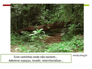 Criar caminhos onde não existem…
Adentrar espaços, invadir, reterritorializar…
mhnjb.ufmg.br
 