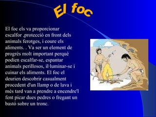 El foc els va proporcionar escalfor ,protecció en front dels animals ferotges, i coure els aliments. . Va ser un element de progrés molt important perquè podien escalfar-se, espantar animals perillosos, il·luminar-se i cuinar els aliments. El foc el deurien descobrir casualment procedent d'un llamp o de lava i més tard van a prendre a encendre'l fent picar dues pedres o fregant un bastó sobre un tronc. El foc 