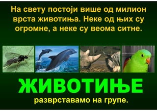На свету постоји више од милион
врста животиња. Неке од њих су
 огромне, а неке су веома ситне.




     разврставамо на групе.
 