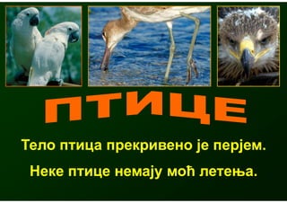 Тело птица прекривено је перјем.
 Неке птице немају моћ летења.
 