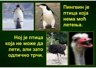 Пингвин је
                   птица која
                   нема моћ
                   летења.

    Ној је птица
која не може да
 лети, али зато
 одлично трчи.
 