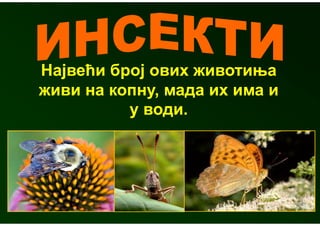 Највећи број ових животиња
живи на копну, мада их има и
          у води.
 