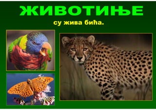 су жива бића.
 
