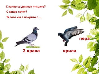 С какво се движат птиците?
2 крака крила
С какво летят?
Тялото им е покрито с ...
пера
 