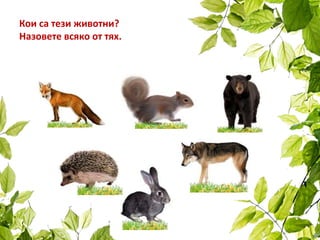 Кои са тези животни?
Назовете всяко от тях.
 
