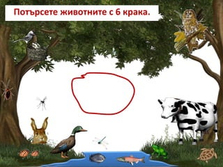 Потърсете животните с 6 крака.
 