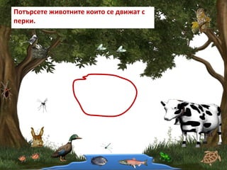 Потърсете животните които се движат с
перки.
 