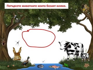 Потърсете животните които бозаят мляко.
 