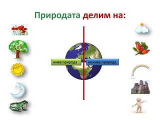 Природата делим на:
нежива природажива природа
 