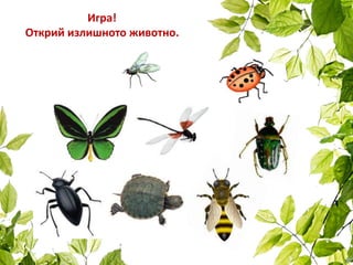 Игра!
Открий излишното животно.
 