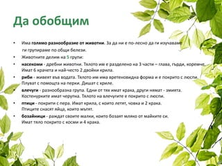 Да обобщим
• Има голямо разнообразие от животни. За да ни е по-лесно да ги изучаваме
ги групираме по общи белези.
• Животните делим на 5 групи:
• насекоми - дребни животни. Тялото им е разделено на 3 части – глава, гърди, коремче.
Имат 6 крачета и най-често 2 двойки крила.
• риби - живеят във водата. Тялото им има вретеновидна форма и е покрито с люспи.
Плуват с помощта на перки. Дишат с хриле.
• влечуги - разнообразна група. Едни от тях имат крака, други нямат - змията.
Костенурките имат черупка. Тялото на влечугите е покрито с люспи.
• птици - покрити с пера. Имат крила, с които летят, човка и 2 крака.
Птиците снасят яйца, които мътят.
• бозайници - раждат своите малки, които бозаят мляко от майките си.
Имат тяло покрито с косми и 4 крака.
 
