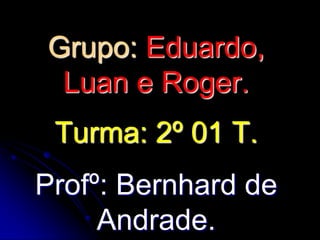 Grupo: Eduardo,
 Luan e Roger.
 Turma: 2º 01 T.
Profº: Bernhard de
     Andrade.
 