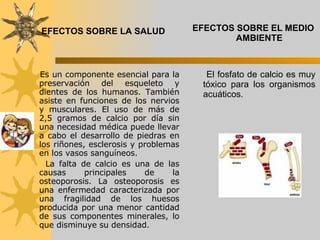 EFECTOS SOBRE LA SALUD Es un componente esencial para la preservación del esqueleto y dientes de los humanos. También asiste en funciones de los nervios y musculares. El uso de más de 2,5 gramos de calcio por día sin una necesidad médica puede llevar a cabo el desarrollo de piedras en los riñones, esclerosis y problemas en los vasos sanguíneos.  La falta de calcio es una de las causas principales de la osteoporosis. La osteoporosis es una enfermedad caracterizada por una fragilidad de los huesos producida por una menor cantidad de sus componentes minerales, lo que disminuye su densidad.  EFECTOS SOBRE EL MEDIO AMBIENTE El fosfato de calcio es muy tóxico para los organismos acuáticos. 