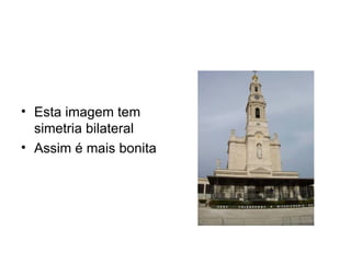 Esta imagem tem simetria bilateral Assim é mais bonita