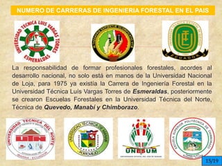 
NUMERO DE CARRERAS DE INGENIERIA FORESTAL EN EL PAIS
La responsabilidad de formar profesionales forestales, acordes al
desarrollo nacional, no solo está en manos de la Universidad Nacional
de Loja, para 1975 ya existía la Carrera de Ingeniería Forestal en la
Universidad Técnica Luís Vargas Torres de Esmeraldas, posteriormente
se crearon Escuelas Forestales en la Universidad Técnica del Norte,
Técnica de Quevedo, Manabí y Chimborazo.
15/19
 
