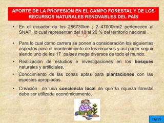 
APORTE DE LA PROFESIÓN EN EL CAMPO FORESTAL Y DE LOS
RECURSOS NATURALES RENOVABLES DEL PAÍS
• Creación de una conciencia local de que la riqueza forestal
debe ser utilizada económicamente.
• Realización de estudios e investigaciones en los bosques
naturales y artificiales.
• Conocimiento de las zonas aptas para plantaciones con las
especies apropiadas.
• En el ecuador de los 256730km ; 2 47000km2 pertenecen al
SNAP lo cual representan del 18 al 20 % del territorio nacional .
• Para lo cual como carrera se ponen a consideración los siguientes
aspectos para el mantenimiento de los recursos y así poder seguir
siendo uno de los 17 países mega diversos de todo el mundo.
16/19
 