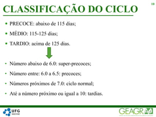  PRECOCE: abaixo de 115 dias;
 MÉDIO: 115-125 dias;
 TARDIO: acima de 125 dias.
• Número abaixo de 6.0: super-precoces;
• Número entre: 6.0 a 6.5: precoces;
• Números próximos de 7.0: ciclo normal;
• Até a número próximo ou igual a 10: tardias.
CLASSIFICAÇÃO DO CICLO
10
 