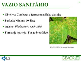  Objetivo: Combater a ferrugem asiática da soja;
 Período: Mínimo 60 dias;
 Agente: Phakopsora pachirhizi;
 Forma de nutrição: Fungo biotrófico.
VAZIO SANITÁRIO
14
FONTE, AGROLINK, ano não identificado.
 