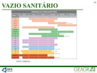 FONTE: EMBRAPA
VAZIO SANITÁRIO
15
 