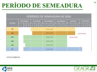 FONTE:EMBRAPA
PERÍODO DE SEMEADURA
16
 