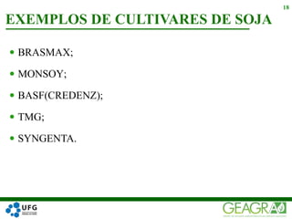  BRASMAX;
 MONSOY;
 BASF(CREDENZ);
 TMG;
 SYNGENTA.
EXEMPLOS DE CULTIVARES DE SOJA
18
 
