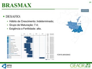  DESAFIO:
 Hábito de Crescimento: Indeterminado;
 Grupo de Maturação: 7.4;
 Exigência a Fertilidade: alto.
 FONTE:BRASMAX
BRASMAX
19
 