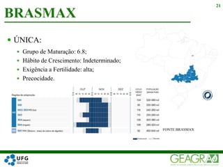  ÚNICA:
 Grupo de Maturação: 6.8;
 Hábito de Crescimento: Indeterminado;
 Exigência a Fertilidade: alta;
 Precocidade.
FONTE:BRASMAX
BRASMAX
21
 