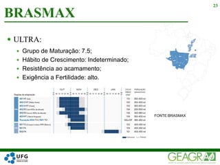  ULTRA:
 Grupo de Maturação: 7.5;
 Hábito de Crescimento: Indeterminado;
 Resistência ao acamamento;
 Exigência a Fertilidade: alto.
 FONTE:BRASMAX
BRASMAX
23
 