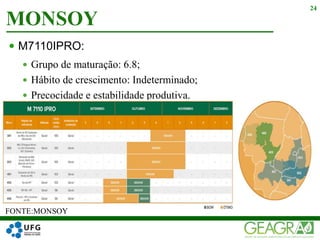  M7110IPRO:
 Grupo de maturação: 6.8;
 Hábito de crescimento: Indeterminado;
 Precocidade e estabilidade produtiva.
MONSOY
24
FONTE:MONSOY
 