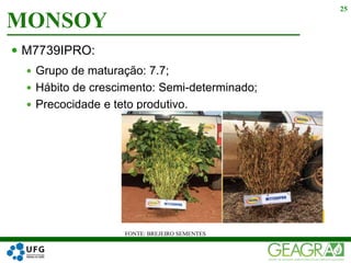  M7739IPRO:
 Grupo de maturação: 7.7;
 Hábito de crescimento: Semi-determinado;
 Precocidade e teto produtivo.
MONSOY
25
FONTE: BREJEIRO SEMENTES
 