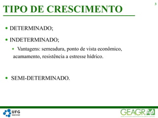  DETERMINADO;
 INDETERMINADO;
 Vantagens: semeadura, ponto de vista econômico,
acamamento, resistência a estresse hídrico.
 SEMI-DETERMINADO.
TIPO DE CRESCIMENTO
3
 