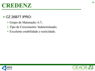  CZ 26B77 IPRO:
 Grupo de Maturação: 6.7;
 Tipo de Crescimento: Indeterminado;
 Excelente estabilidade e rusticidade.
CREDENZ
30
 