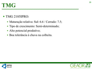  TMG 2185IPRO:
 Maturação relativa: Sul: 6.6 / Cerrado: 7.5;
 Tipo de crescimento: Semi-determinado;
 Alto potencial produtivo;
 Boa tolerância à chuva na colheita.
TMG
35
 